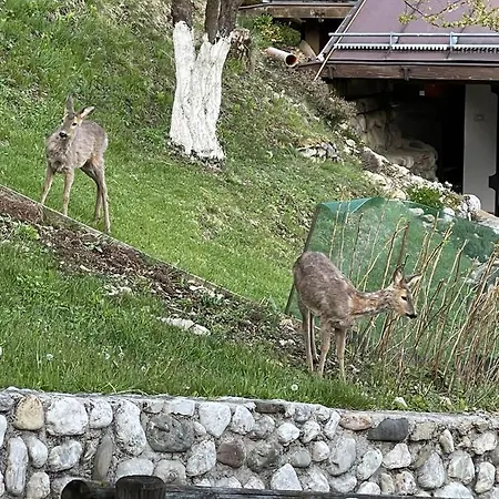 In Montagna